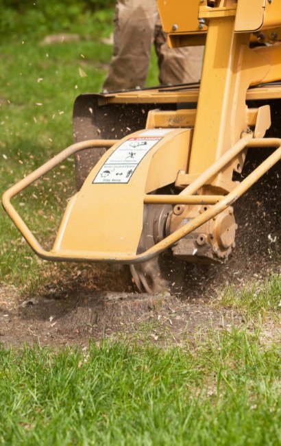 Efficient stump grinding in Leesburg, VA by Leesburg Tree Service, utilizing advanced machinery to seamlessly remove tree stumps and enhance landscape appearance.