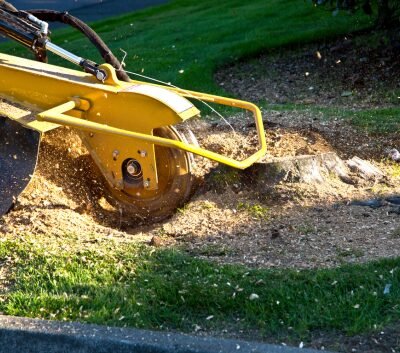 Tree service in Leesburg, VA removing a tree stump.